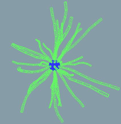 mt dynamic 3d