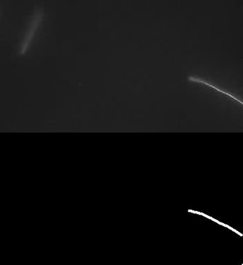 Microtubule gliding assay