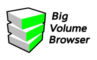 Browsing large volumetric data and shapes